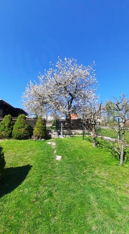 Penzion Novy Svet Krásno المظهر الخارجي الصورة